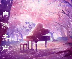 自然之声放松精神